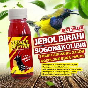 power nectar spesial kolibri pleci sogon gacor dalam 2 hari