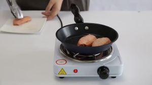 Portable Electric Stove Single and Double Burner Hot Plate