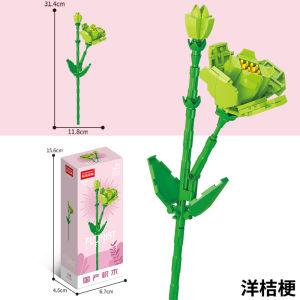 Flowers Building Toys Set Colorful Rose Tulip for Valentines Day Present House Decorations Vase Flower Arrangement