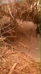 แว่นตัดแสงเลนส์สีชา