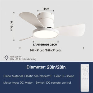 20 28 Inch Ceiling Fan ABS Inverter With Light Remote Control Ventilator Ceiling Lamp for Coffee Shop Home Bedroom Decoration