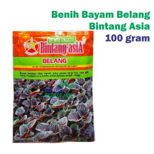 100 gram Bayam belang bintang asia benih unggul bibit sayuran hidroponik konvensional