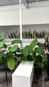 Tunik Batik Couple Modern Terbaru 2022: Desain & Model Mewah