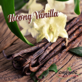 Hương Vani - Vanilla Flavor dạng bột (chiết lẻ từ bao 25kg). 