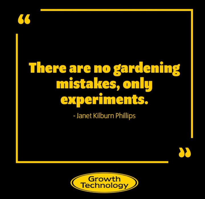 Growth%20Technology%20Rose%20Focus%20300ml%20Rose%20Fertilizer%20with%20Seaweed%20Contains%20All%20Essential%20Nutrients%20Ideal%20for%20Indoor%20and%20Outdoor%20Roses%20-%20Image%206