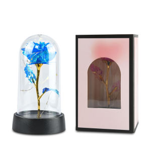 AGW โดมแก้วมีไฟ Led นิรันดร์ ดอกไม้กุหลาบฟอยล์โรแมนติก LED โคมไฟดอกกุหลาบ หลากแบบ  ของขวัญทุกเทศกาล