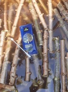 4Tree โฟร์ทรี จำนวน 1 ซอง สารเสริมประสิทธิภาพ โฟรทีร ของแท้ สูตรอิออน พืชโตเร็ว แข็งแรง ทนแล้ง