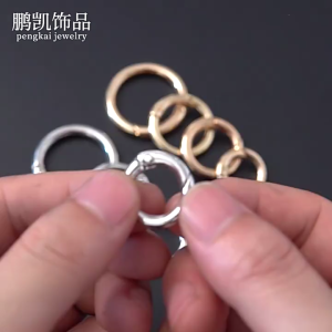 10pcs 20/25/28/33mm Spring O-ring Buckles Opening Spring Ring Buckle Carabiner for Purses Handbag Round Accessories