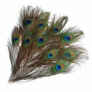 10PCS/SET 25-30CM High Quality Beautiful Big Peacock Eyes Feather Decorations Home Bedroom Living Room Wedding Festival Party DIY Gift Vase Crafts