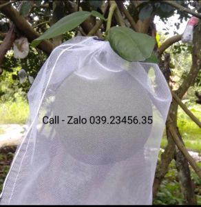 [ 35*40cm ] 100 CÁI TÚI LƯỚI TỐT BAO BỌC TRÁI BƯỞI MÃNG CẦU DƯA LƯỚI GIÚP BẢO VỆ TRÁI CÂY