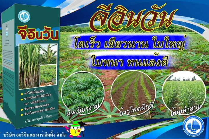 จีอินวัน 3 in 1 ปุ๋ยครบสูตรสำหรับอ้อย มันสำปะหลัง ข้าวโพด