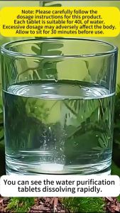 FDA LTO Drinking-grade chlorine tablets 100 PCS Purify water sterilize and disinfect remove odor【24 hours Delivery】COD