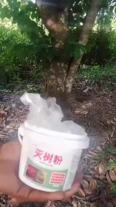 Tree killer Powder Killer Rumput Sambau Destroy Tree Power Cleaned Remove Rotten Roots Bamboo s