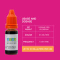 10ML Pet Cold Medicine Anti FLU Colds Cough Treatment Cats and Dogs Cough Fever Colds Runny Nose Treatment for Kitten and Puppy. 