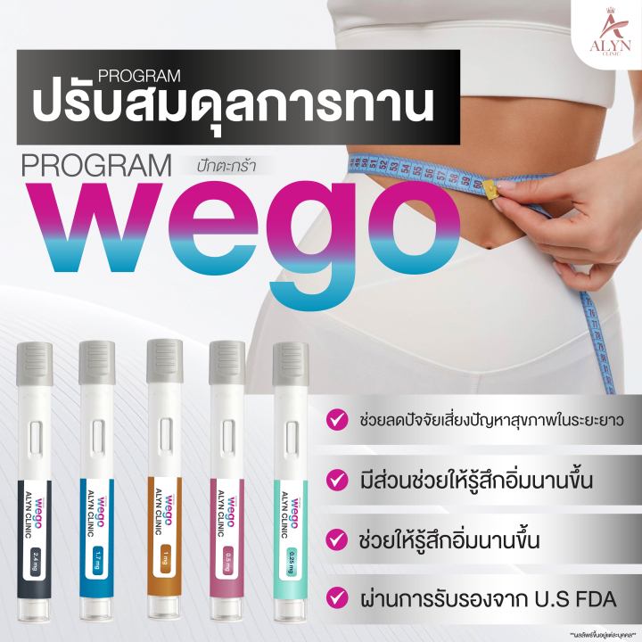ปักตะกร้า ปรับสมดุลการทาน Wego | Lazada.co.th