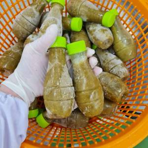 [พร้อมส่ง!!] นํ้าจิ้มซีฟู้ด(ขวด) รสเด็ด!! ขนาด 200 กรัม/ขวด (ขวด) | PPN Seafood Wishing