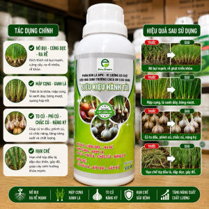 PHÂN BÓN KIỆU HÀNH TỎI 500ml - Nở Bụi Ra Rễ Cực Mạnh To Củ Nặng Ký Tăng Năng Suất Vượt Trội