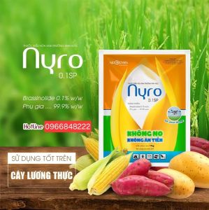 Nyro 0.1 SP - Thuốc Điều Hòa Tăng Trưởng Giúp Cây Trồng Phát Triển Vượt Trội ( 10g)