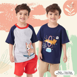 [OUTLET] Áo bé trai cộc tay size đại BIGFOX MISS MEOW mặc mùa hè vải cotton mền mịn cỡ trẻ em 345678 tuổi QATE 03