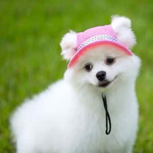 ZXCE Adjustable Fashion Universal with Ear Holes for Hiking Dog Sunshade Hat Dog Cap Dog Visor Hat Cat Hats