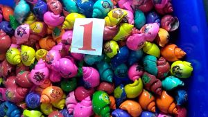 cangkang kelomang umang warna no 1/50 pcs