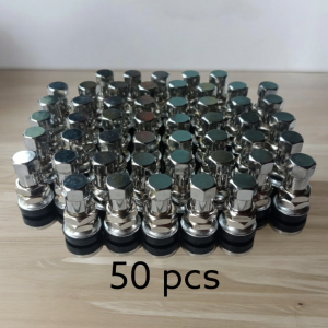50 pcs Pentil Tubless besi pendek Pentil ban tubeless motor