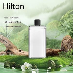 Automatic Aromatherapy Machine Essential Oil Mist Aroma Diffuser Perfume Humidifier for Bedroom / Bathroom / Hotel