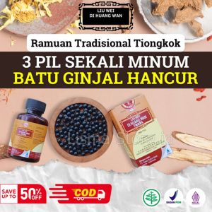 Liu Wei Di Huang Wan - Menyahatkan ginjal sakit pinggang diabetes Obat Batu Ginjal Sering kencing dimalam hari