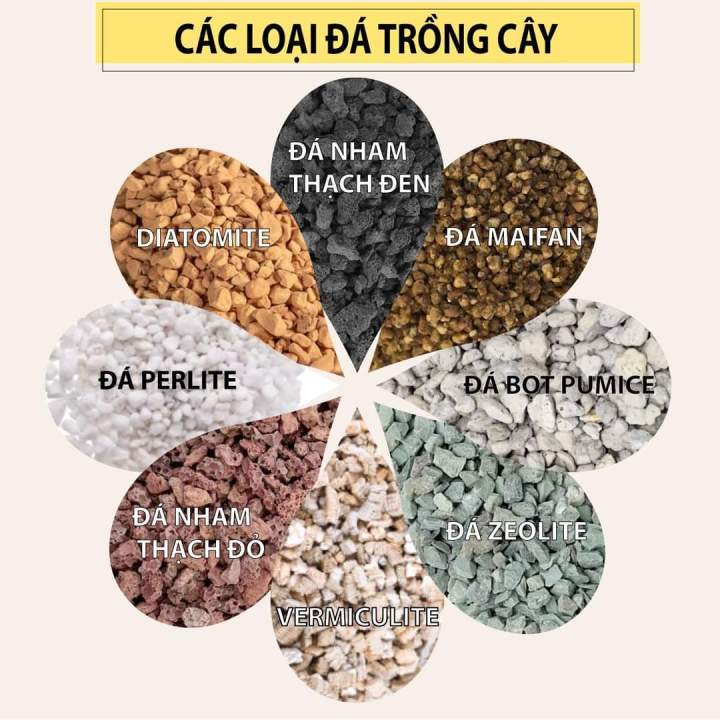 Giá thể đá trồng sen đá xương rồng pumice, perlite, nham thạch ...