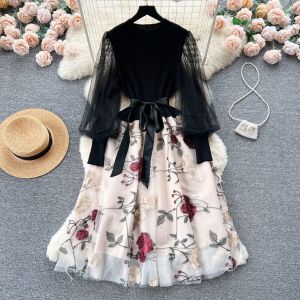 Elegant French-style embroidered mesh dress for women. High-waisted A-line skirt long sleeves autumn 2025K.