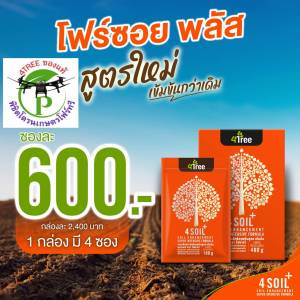 4Soil Plus โฟร์ซอย พลัส 1 ซอง สูตรใหม่ เข้มข้นกว่าเดิม สารเพิ่มประสิทธิภาพดิน สูตรเข้มข้น ชนิดผง ช่วยปรับสภาพโครงสร้างดิน เพิ่มธาตุในดิน 4Treeของแท้ 100% พร้อมส่ง