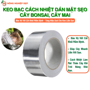 Keo Bạc Cách Nhiệt Dán Mặt Sẹo Cây Bonsai Cây Mai - Giúp Cây Nhanh Liền Sẹo Cách Nhiệt Phòng Bệnh