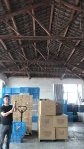 Gender Reveal Popper Confetti Baby Boy Girl Blue Pink Confetti Cannon  Ready Stock  Gender Reveal