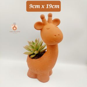 Chậu đất nung chậu sen đá - Hưu con miệng chậu 9cm từ đáy lên lưng 10cm từ đáy lền sừng 19cm