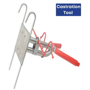 Castration tool castration holder for piglets castration tool for piglet Piglet Castration Tool hang type castration
