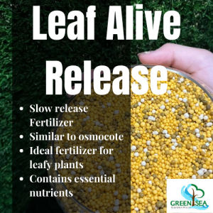GNC - 1KG LeafAlive Green Plant Slow Release Fertilizer OEM Baja Perlepasan Perlahan Pokok Hijau 控释肥