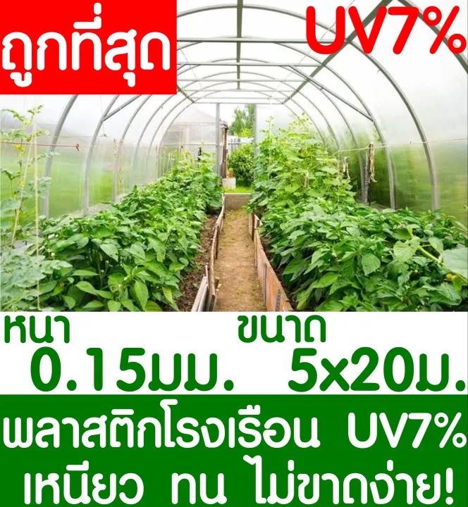 พลาสติกคลุมโรงเรือนสีใส 5x20 เมตร หนา 150 ไมครอน UV7% สำหรับโรงเรือนขนาดใหญ่