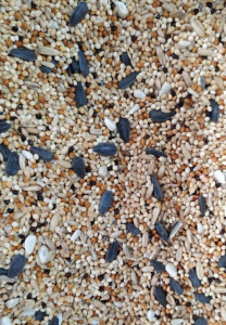 Bird Seeds Food Feeds : African Mix Canary Sunflower Safflower Red White Black Millet Jockey Oats Royal Mix Pigeon Mix