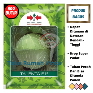 Benih Bibit Kubis TALENTA F1 400 Butir Cap Panah Merah Untuk dataran Rendah dan tinggi