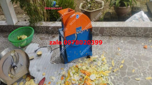 Máy thái lát củ quả 4ly