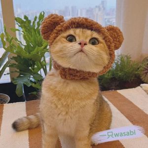 Cat teaser hat head-mounted cat teaser stick cat hood hat pet dog feather self-hi toy yellow hat