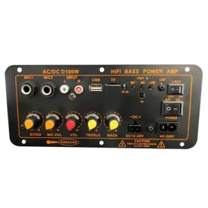 D100 100W Papan Penguat Audio Bluetooth Subwoofer Dual Mikrofon Modul AMP 12V 24V 220V Pemutar Media
