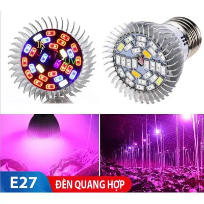 ĐÈN LED hỗ trợ quang hợp cho cây giúp cây hoa rau phát triển