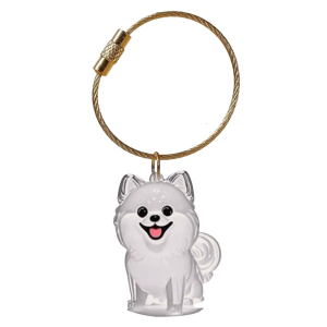 Dog Hair Memorial Box Keychain With Clear Display Box Pet Hair Storage Case For Pet Loss Remembrance