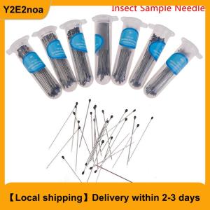 【Local shipping】 100Pcs Insect Pins Specimen Needle Stainless Steel for School Lab Entomology