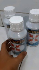 Obat Fogging Smash 500ml: Basmi Nyamuk & Serangga