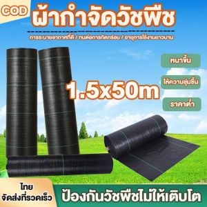 ผ้าคลุมหญ้า ผ้าคลุมดิน(เกรด AAA) พลาสติกคลุมวัชพืช พราสติกคลุมดิน ผ้าคลุมวัชพืช คลุมวัชพืช น้ำซึมผ่านได้ 50 เมตร 100 เมตร