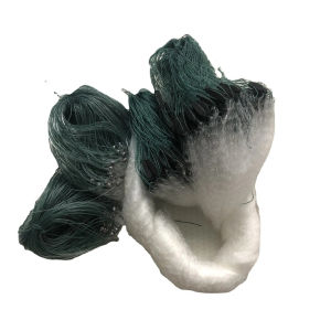 ดางปลาซิว ใยบัว อวนปลาซิว ตาข่ายดักปลา ข่ายดักปลา ข่ายดักปลาซิว มองปลาซิว ปลาซิว ดักปลา