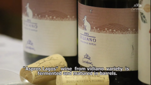 RARE SPECIAL WINE DOULOUFAKIS ASPRO LAGOS WHITE WINE    *** PACKED IN HALF CASE 6x 750 ml ***      ( CRETE )