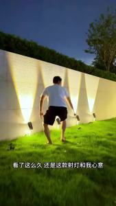 SXH  Solar Powered Outdoor Garden Light 2025 New Spotlight Garden Landscape Atmosphere Lawn Light Ground Insert Tree Light Adjustable Focus